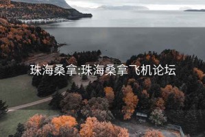 珠海桑拿:珠海桑拿飞机论坛