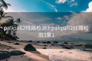 palipali2线路检测3:palipali2线路检测3果1