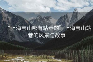 “上海宝山哪有站巷的”上海宝山站巷的风景与故事