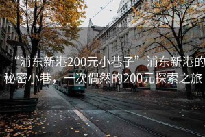 “浦东新港200元小巷子”浦东新港的秘密小巷，一次偶然的200元探索之旅