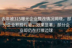 去年被315曝光企业整改情况揭晓，部分企业积极行动，效果显著；部分企业却仍在打擦边球