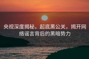 央视深度揭秘，起底黑公关，揭开网络谣言背后的黑暗势力