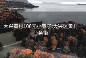 大兴黄村100元小巷子:大兴区黄村一条街