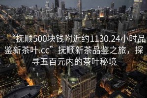 “抚顺500块钱附近约1130.24小时品鉴新茶叶.cc”抚顺新茶品鉴之旅，探寻五百元内的茶叶秘境