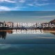 pailpail2轻量版检测线路:pailpail2轻量版检测线路3