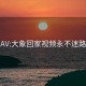 V888AV:大象回家视频永不迷路2024