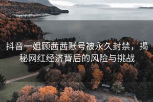 抖音一姐顾茜茜账号被永久封禁，揭秘网红经济背后的风险与挑战