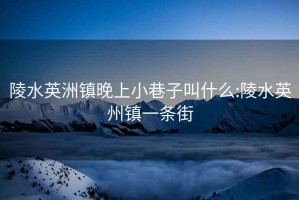 陵水英洲镇晚上小巷子叫什么:陵水英州镇一条街