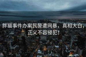 胖猫事件办案民警遭网暴，真相大白，正义不容侵犯！