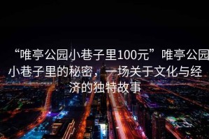 “唯亭公园小巷子里100元”唯亭公园小巷子里的秘密，一场关于文化与经济的独特故事