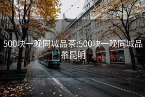 500块一晚同城品茶:500块一晚同城品茶昆明