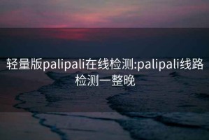 轻量版palipali在线检测:palipali线路检测一整晚