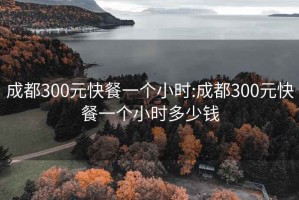 成都300元快餐一个小时:成都300元快餐一个小时多少钱