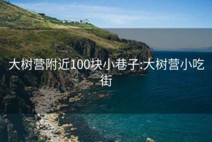 大树营附近100块小巷子:大树营小吃街