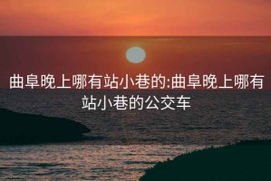 曲阜晚上哪有站小巷的:曲阜晚上哪有站小巷的公交车