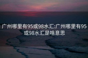 广州哪里有95或98水汇:广州哪里有95或98水汇是啥意思