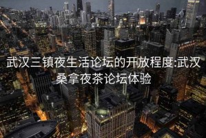 武汉三镇夜生活论坛的开放程度:武汉桑拿夜茶论坛体验