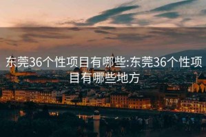 东莞36个性项目有哪些:东莞36个性项目有哪些地方