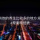 福州有炮的养生比较多的地方:福州spa荤素明细表