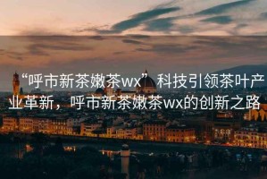 “呼市新茶嫩茶wx”科技引领茶叶产业革新，呼市新茶嫩茶wx的创新之路