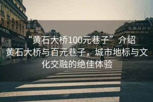 “黄石大桥100元巷子”介绍
黄石大桥与百元巷子，城市地标与文化交融的绝佳体验