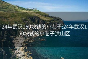 24年武汉150块钱的小巷子:24年武汉150块钱的小巷子洪山区