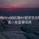 x88红梅AV:x88红梅AV留学生刘玥和闺蜜小鱼直播视频