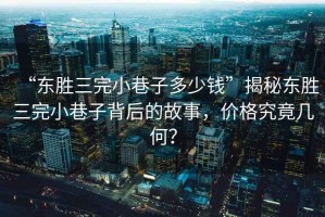 “东胜三完小巷子多少钱”揭秘东胜三完小巷子背后的故事，价格究竟几何？