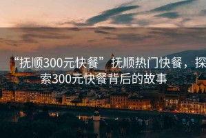 “抚顺300元快餐”抚顺热门快餐，探索300元快餐背后的故事