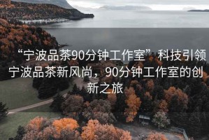 “宁波品茶90分钟工作室”科技引领宁波品茶新风尚，90分钟工作室的创新之旅