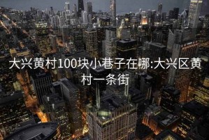 大兴黄村100块小巷子在哪:大兴区黄村一条街