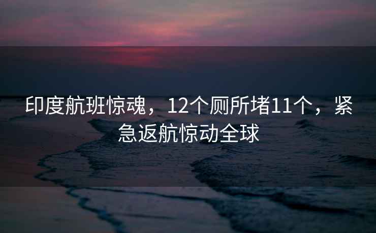 印度航班惊魂，12个厕所堵11个，紧急返航惊动全球