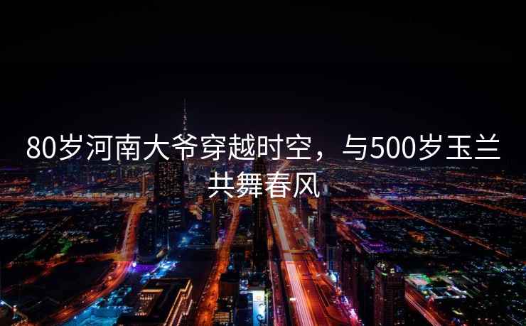 80岁河南大爷穿越时空，与500岁玉兰共舞春风