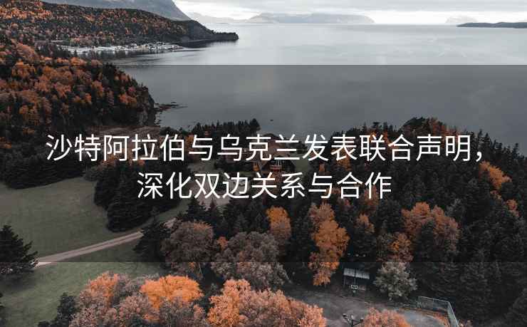 沙特阿拉伯与乌克兰发表联合声明，深化双边关系与合作