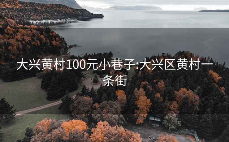 大兴黄村100元小巷子:大兴区黄村一条街