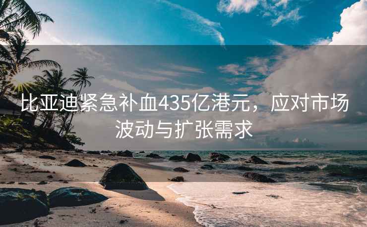 比亚迪紧急补血435亿港元，应对市场波动与扩张需求