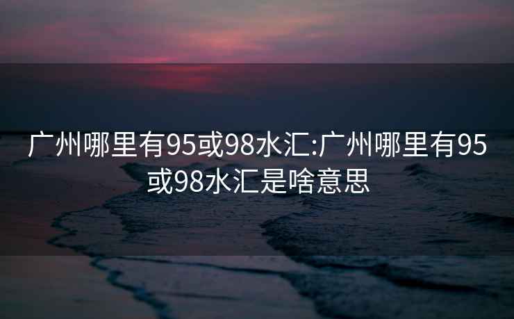 广州哪里有95或98水汇:广州哪里有95或98水汇是啥意思