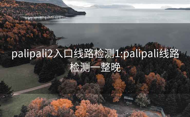 palipali2入口线路检测1:palipali线路检测一整晚