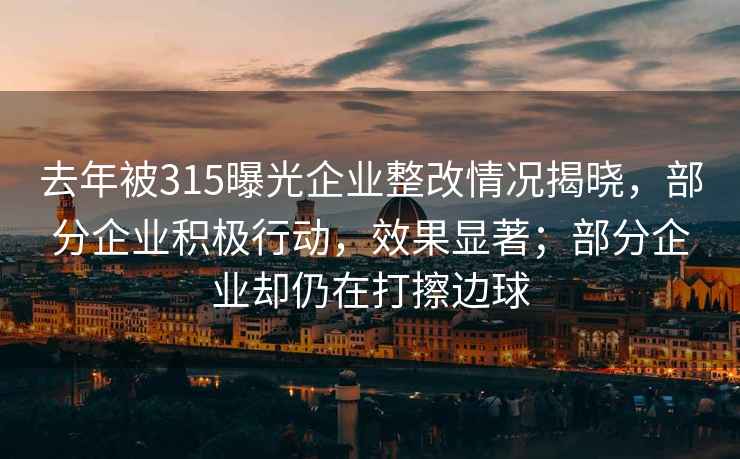 去年被315曝光企业整改情况揭晓，部分企业积极行动，效果显著；部分企业却仍在打擦边球