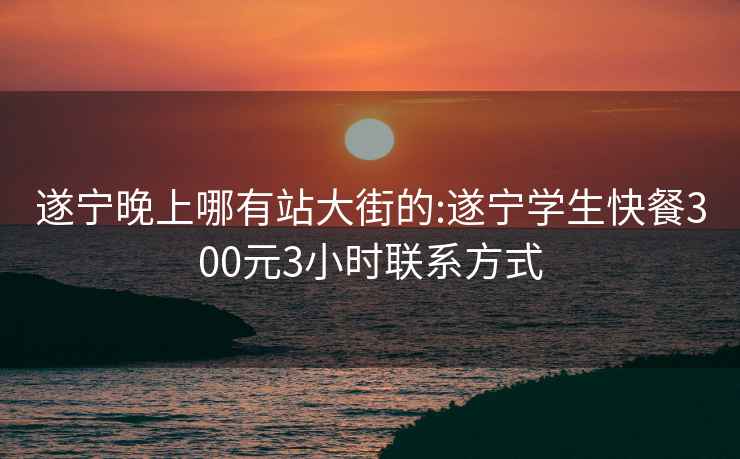 遂宁晚上哪有站大街的:遂宁学生快餐300元3小时联系方式