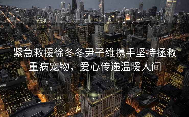 紧急救援徐冬冬尹子维携手坚持拯救重病宠物，爱心传递温暖人间