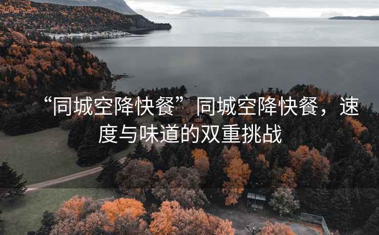 “同城空降快餐”同城空降快餐，速度与味道的双重挑战