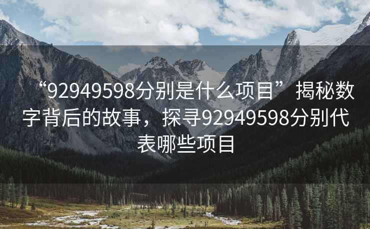 “92949598分别是什么项目”揭秘数字背后的故事，探寻92949598分别代表哪些项目