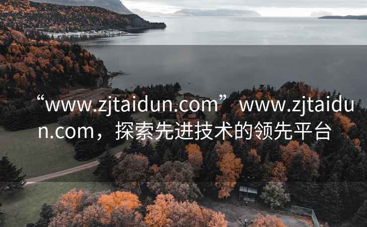 “www.zjtaidun.com”www.zjtaidun.com，探索先进技术的领先平台