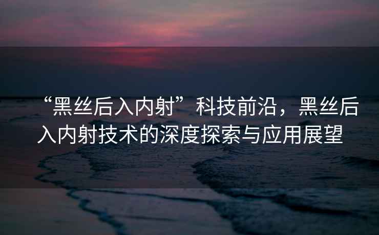 “黑丝后入内射”科技前沿，黑丝后入内射技术的深度探索与应用展望