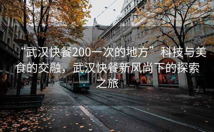 “武汉快餐200一次的地方”科技与美食的交融，武汉快餐新风尚下的探索之旅