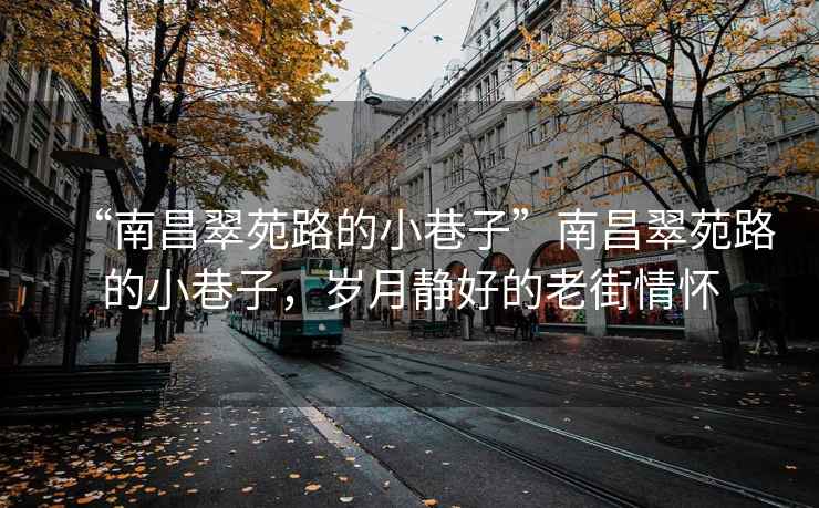 “南昌翠苑路的小巷子”南昌翠苑路的小巷子，岁月静好的老街情怀