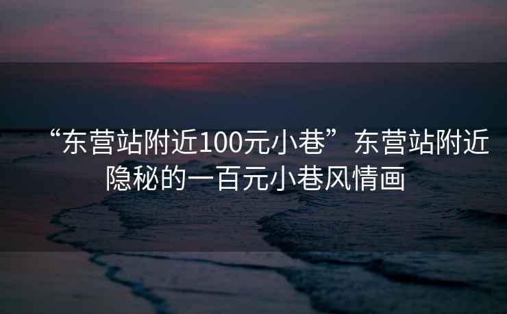 “东营站附近100元小巷”东营站附近隐秘的一百元小巷风情画