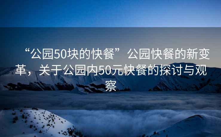 “公园50块的快餐”公园快餐的新变革，关于公园内50元快餐的探讨与观察