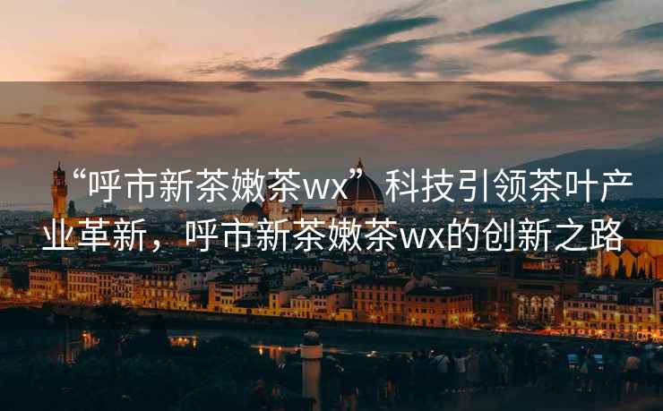 “呼市新茶嫩茶wx”科技引领茶叶产业革新，呼市新茶嫩茶wx的创新之路